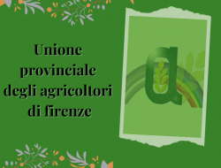 Unione provinciale degli agricoltori di firenze - Associazioni, organizzazioni ed enti internazionali - Firenze (Firenze)