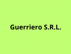 Guerriero srl - Autofficine e centri assistenza - Roma (Roma)