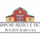 logo gipponi