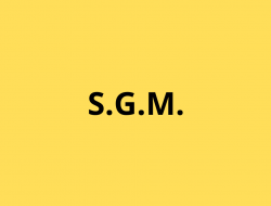 S.g.m. srl - Pelli e pellami - produzione e commercio - Trissino (Vicenza)