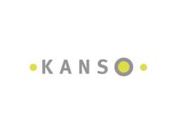 Kanso srl - Consulenza di direzione ed organizzazione aziendale - Roma (Roma)