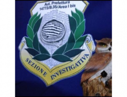 Sezione investigativa - Investigazioni - Agenzie - Siracusa (Siracusa)