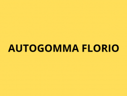 Autogomma florio - Azienda locale - San Martino Buon Albergo (Verona)