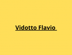 Vidotto flavio - Videogiochi, flippers e biliardini - vendita e noleggio - Pravisdomini (Pordenone)