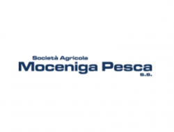 Moceniga pesca - Ittica prodotti - Rosolina (Rovigo)