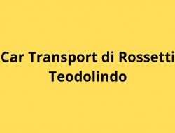 Car transport di rossetti teodolindo - Autosoccorso - Nettuno (Roma)