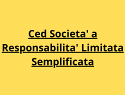 Ced s.r.l.s. - Consulenza di direzione ed organizzazione aziendale - Casola di Napoli (Napoli)