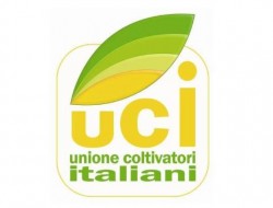 Unione coltivatori italiani ciampino - Associazioni sindacali e di categoria - Ciampino (Roma)