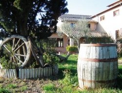 Agriturismo terra sabina - Agriturismo - Poggio Mirteto (Rieti)