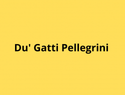 Du' gatti pellegrini snc - Azienda locale - Siena (Siena)