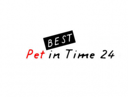 Pet in time 24 - Veterinari - Roma (Roma)