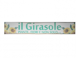 Il girasole - Fiorai,Fiorai e piante - ingrosso - Marino (Roma)