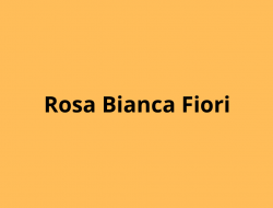 Rosa bianca di gabriella maccioni - Fiorai e piante - ingrosso - Castenaso (Bologna)