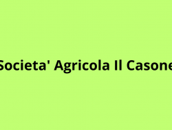 Societa' agricola il casone - Azienda agricola - Voghera (Pavia)