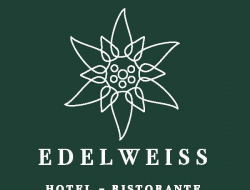 Albergo edelweiss - Hotel - Limone Piemonte (Cuneo)