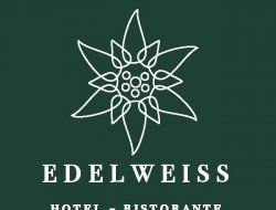 Albergo edelweiss - Hotel - Limone Piemonte (Cuneo)