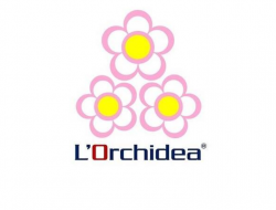 L’orchidea dal 1968 - Fiorai - Torino (Torino)