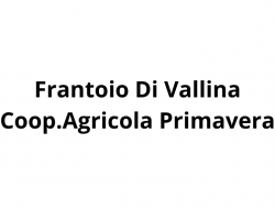 Frantoio di vallina coop.agricola primavera - Oli alimentari e frantoi oleari - Bagno a Ripoli (Firenze)