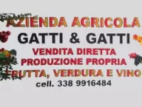 Azienda agricola gatti & gatti azienda agricola