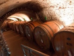 Cantina gattavecchi - Enoteche e vendita vini,Ristoranti - Montepulciano (Siena)