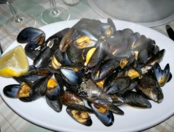 Ristorante il grottino - Ristoranti specializzati - pesce - Passignano sul Trasimeno (Perugia)