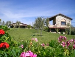 Agriturismo poggio nebbia - Agriturismo - Tarquinia (Viterbo)