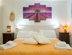 Apartments le orchidee - Bed & breakfast,Residences ed appartamenti ammobiliati - Orvieto (Terni)