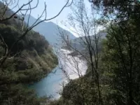 Consorzio forestale terra tra i due laghi vigilanza e sorveglianza