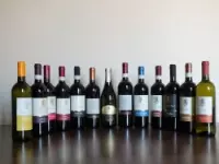 Enoteca del castello di lozzolo srl con unico socio enoteche e vendita vini