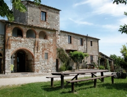 Tenuta di mensanello di roncucci filippo - Agriturismo - Colle di Val d'Elsa (Siena)