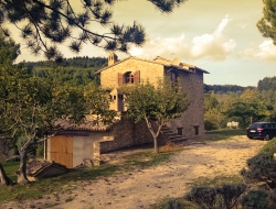 Balducci franco - Agriturismo - Mercatello sul Metauro (Pesaro-Urbino)