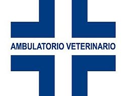 Ambulatorio veterinario la fenice - Veterinaria - ambulatori e laboratori - Arezzo (Arezzo)