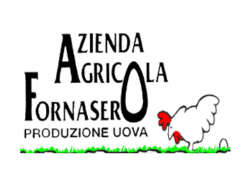 Azienda agricola fornasero bruno - produzione uova - Uova - Lequio Tanaro (Cuneo)