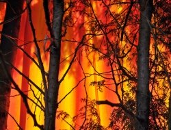 Apa antincendi - Estintori ed articoli antincendio - Parma (Parma)