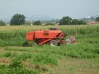 Bindi s.n.c. di bindi quirino & c. macchine agricole riparazione e vendita