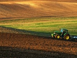 D''orlandi gianluigi - Consulenza agricola e forestale - Fagagna (Udine)