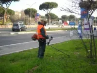 Cecchini leopoldo trasporti trasporti