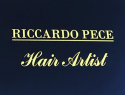 Riccardo pece hair artist - Parrucchieri per donna - Roma (Roma)