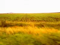 Linea verde di nazzani ermanno agricoltura attrezzi prodotti e forniture