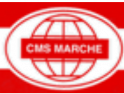 C.m.s. marche srl - Fissaggio articoli - Monsano (Ancona)