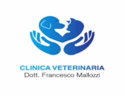 Clinica veterinaria mallozzi - Veterinaria - ambulatori e laboratori - San Giorgio a Liri (Frosinone)