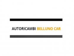 Autoricambi belluno car - Ricambi e componenti auto commercio - Belluno (Belluno)