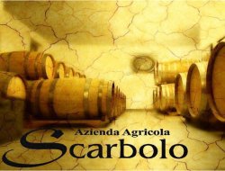 Azienda agricola scarbolo sergio - Azienda agricola,Vini e spumanti - produzione e ingrosso - Cividale del Friuli (Udine)