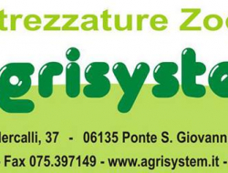 Agrisystem store - Macchine agricole - accessori e parti,Macchine agricole - commercio e riparazione,Macchine agricole - riparazione e vendita,Trattori e trainatori - Perugia (Perugia)