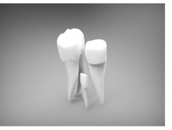 Cardinali corrado - Dentisti medici chirurghi ed odontoiatri - Pesaro (Pesaro-Urbino)