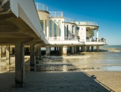 Albergo eleonora sas - Alberghi - Senigallia (Ancona)