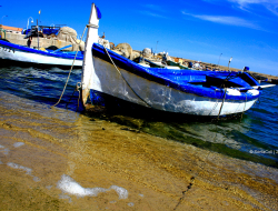 Auto nautica mela srl - Barche e canotti pneumatici produzione e ingrosso - Oschiri (Olbia-Tempio)