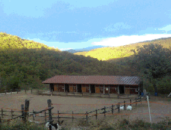 Agriturismo maneggio arcobaleno - Agriturismo - Anghiari (Arezzo)