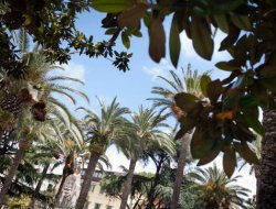 Rima loca s.a.s. di cavazzoni massimiliano & c. - Bed & breakfast - Follonica (Grosseto)