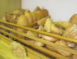 Il piccolo forno - Consulenze speciali - Castelplanio (Ancona)